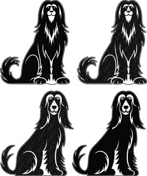 Stylish Afghan Hound Dog Black and White Vector Art.