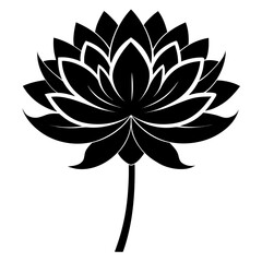 Elegant black lotus flower illustration design