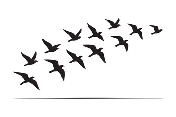 birds flying on a white background