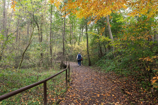 Wanderweg rund um die Rhumequelle bei Rhumspringe in Niedersachsen in Deutschland im Herbst