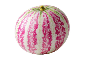 A ripe, striped squash with a vibrant pink and green patterned rind, isolated on black