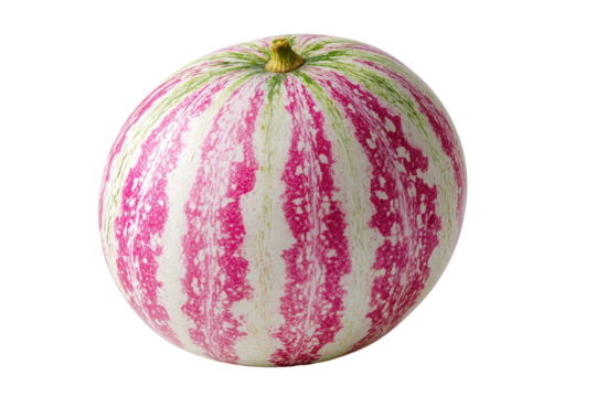 A ripe, striped squash with a vibrant pink and green patterned rind, isolated on black