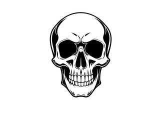 skull on white