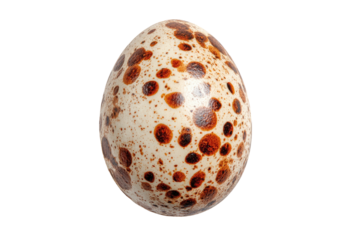 A speckled egg with a creamy background and reddish-brown spots, isolated against a black background