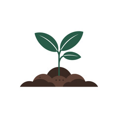 Little Plant Sprouting from Soil