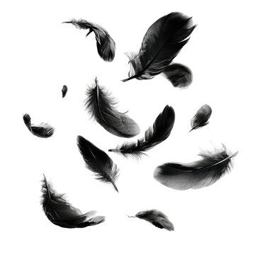 A grayscale image showcasing numerous individual feathers floating against a solid black background