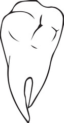vector illustration of a tooth