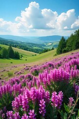 Obraz premium Vast expanse of purple heather in full bloom under a summer sky, wildflowers dotting the landscape Rolling hills create a breathtaking panorama of natural beauty , daytime, botanical, sun