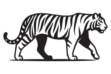 Majestic tiger walking in profile silhouette isolated on white background