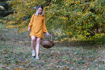 Woman Collecting Chestnuts in an Autumn Forest with a Wicker Basket
