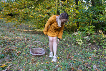 Woman Collecting Chestnuts in an Autumn Forest with a Wicker Basket