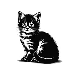 Adorable black kitten with fluffy fur sitting and looking forward