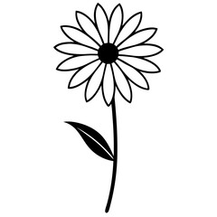 white flower on black background