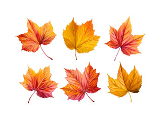 Naklejka premium Autumn Maple Leaves Collection isolated on a transparent background