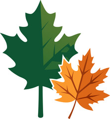 Obraz premium Maple leaf and oak leaf icons Silhouette black , white background 