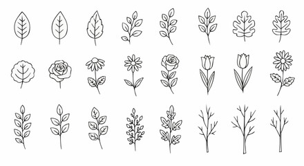 Collection of hand drawn floral elements and botanical illustrations.