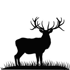 Silhouette of deer with antlers standing on grass, wild animal outline on white background and wildlife forest nature concept design