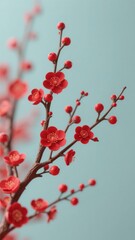 Red plum blossoms on branch