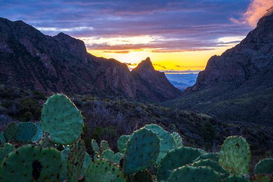 sunset in the chisos mountains in big bend national park in texas in the usa