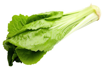 PNG Vegetable lettuce plant green.