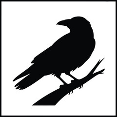 Silhouette of a raven perched on a branch against a white background
