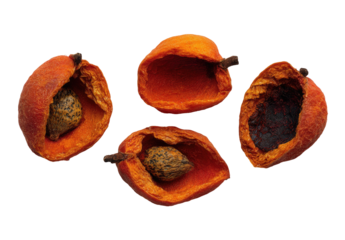 Four dried, orange fruits, each hollowed revealing a brown seed, set against a black backdrop