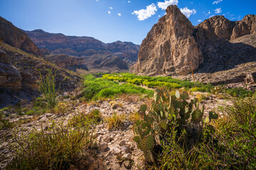 hiking at rio grande in big bend national park in texas in the usa
