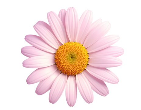 Untitled design - Firefly_3D render daisy flower white petals yellow center (3)