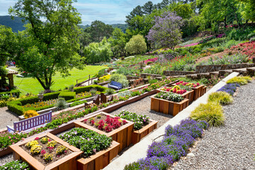 Lavender Garden in Gramado, specialized to cultivate lavenders plants. Gramado is a hot spot...