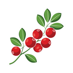 Cranberry Branch Icon - Modern Flat Design Vector Illustration