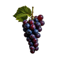 Fototapeta premium Fresh Vine-Ripened Grapes with Green Leaves on a White Background