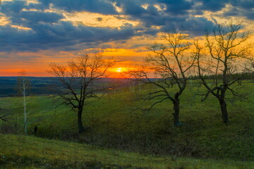 Landscape of bare trees at sunset, early spring
