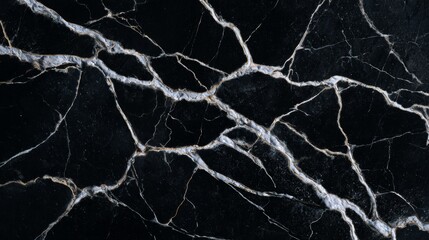 Abstract Black Marble Texture with Organic Veins and Smooth Stone Surface for Art and Design Projects