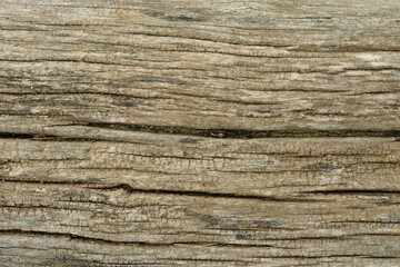 The image is of a wooden surface with a grainy texture