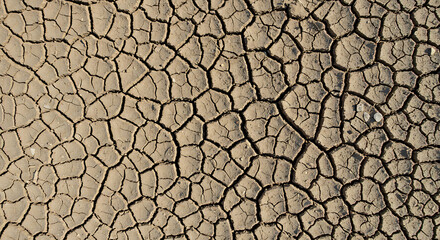 Top view of dry, cracked earth pattern in a desert under natural sunlight. The intricate lines and geometric patterns represent drought and climate change. No vegetation or sky — pure soil texture foc