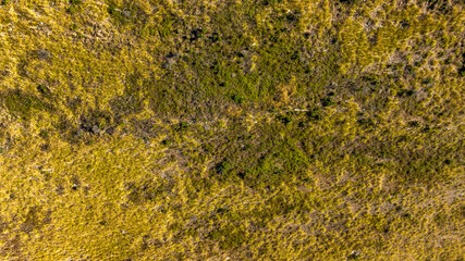 Aerial view of a green meadow. Full-frame grassy land. Ideal for backgrounds, patterns and textures.