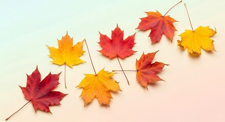 Fototapeta premium Autumn maple leaves flat lay