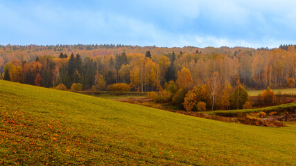 Vibrant autumn landscape with colorful foliage and rolling hills in a serene countryside setting