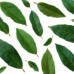 Obraz premium Overlaid, detached, fresh green leaves against a stark black background, creating a natural pattern