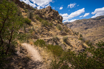 hiking in the desert between sagueros in arizona, usa