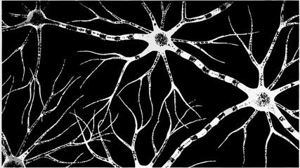 Detailed neuron cell anatomy artwork conveying neuroscience research concepts and medical study insights