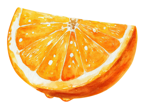 Watercolor depiction of a juicy orange slice, showcasing vibrant colors and intricate details