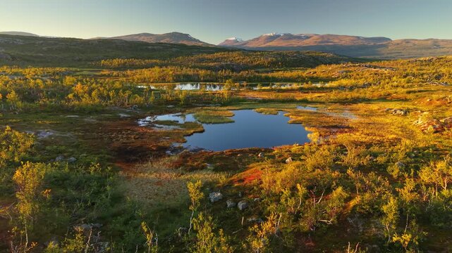 Landscapes of Abisko National Park with stunning aerial views and breathtaking natural beauty. Swedish Lapland. Lush greenery, clear lakes and majestic mountain ranges during golden hour