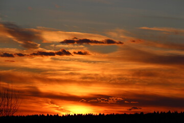 Fototapeta premium Vivid sunset paints the sky with fiery orange and red hues, spectacular clouds above a dark forest silhouette, creating a peaceful evening scene