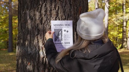 Young woman in a white hat taping missing dog flyer to a tree in autumn park. Emotional moment of hope and search. Warm sunlight and golden fall leaves in the background