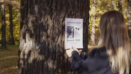 Young blonde woman posting missing dog flyer on a tree in autumn forest. Lost pet announcement with reward notice. Sunny day, fall atmosphere, emotional moment of search