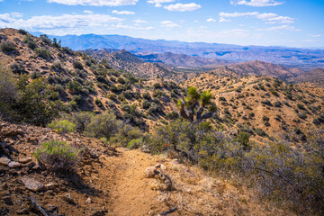 hiking in joshua tree national park in california, usa