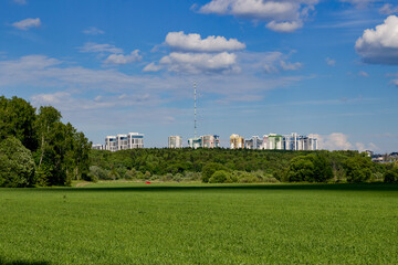 Lush green field under a vast blue sky, framed by dense woodland, with a modern urban skyline...