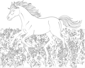 Floral Line Art Illustration with Daisy and Other Flowers a Simple and Elegant Design for Coloring Book Pages