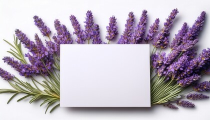 Floral Composition With Lavander Flowers And Blank Card Isolated On White Greeting Card Mock Up